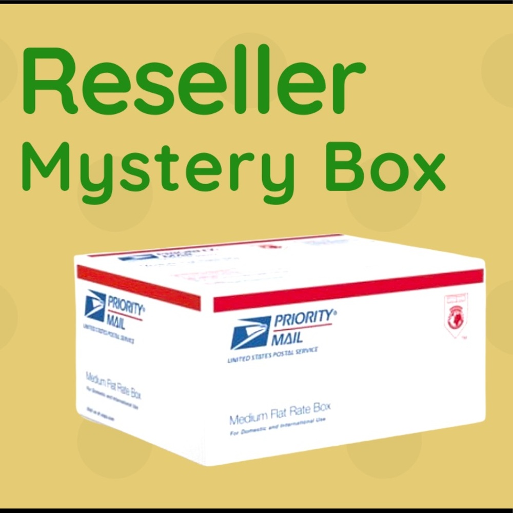Mystery Reseller Box 🎁 Sizes (XL-3X) & (18W-24W)